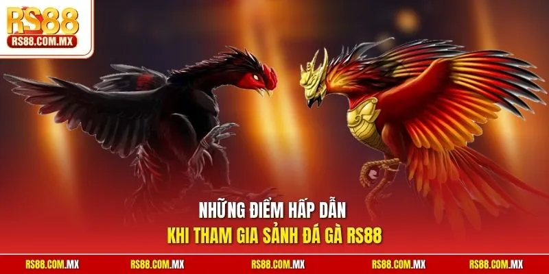 Những điểm hấp dẫn khi tham gia sảnh đá gà RS88